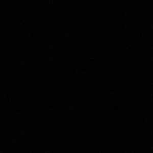 Meet your Posher, Shameila